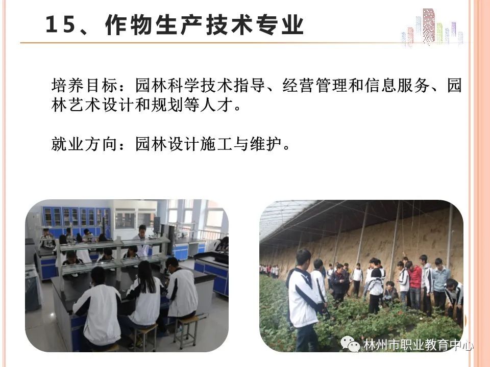 2021年林州市职业教育中心招生简章(图)(17) 2021年林州市职业教育中心招生简章(图)(17)