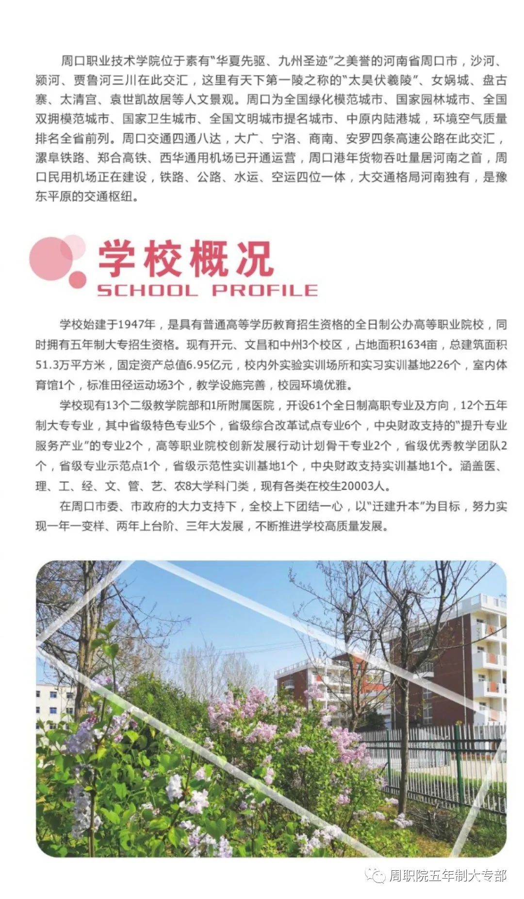 2021年周口职业技术学院(中专部)五年制大专招生简章(图) 2021年周口职业技术学院(中专部)五年制大专招生简章(图)